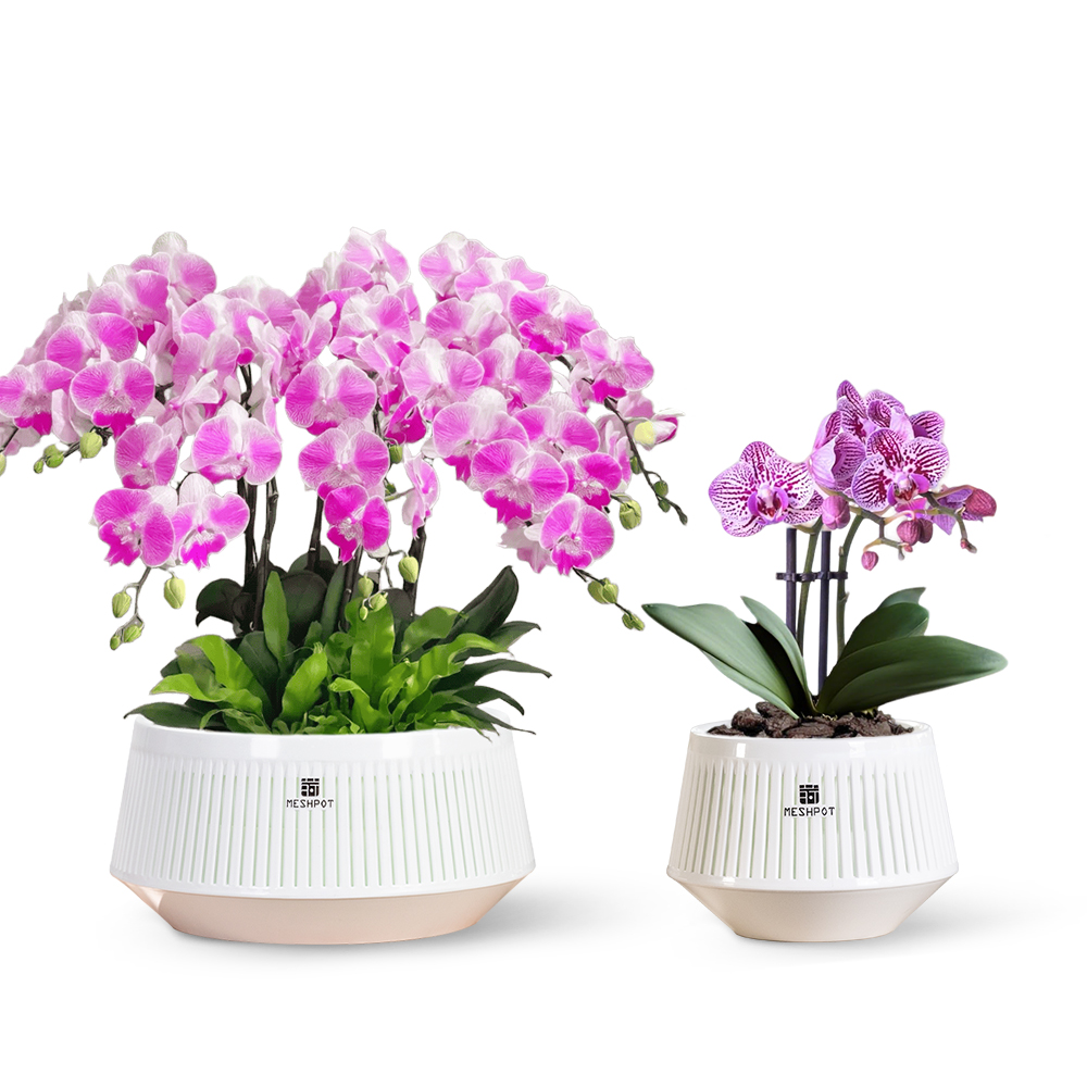 Pot à orchidées en maille avec - Aloe Vera Pot avis et prix
