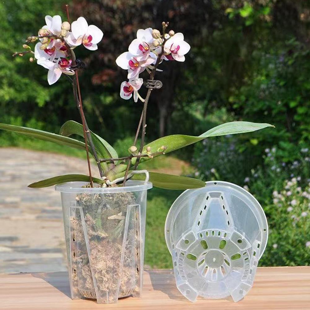 Pot de fleurs transparent en p - Aloe Vera Pot avis et prix