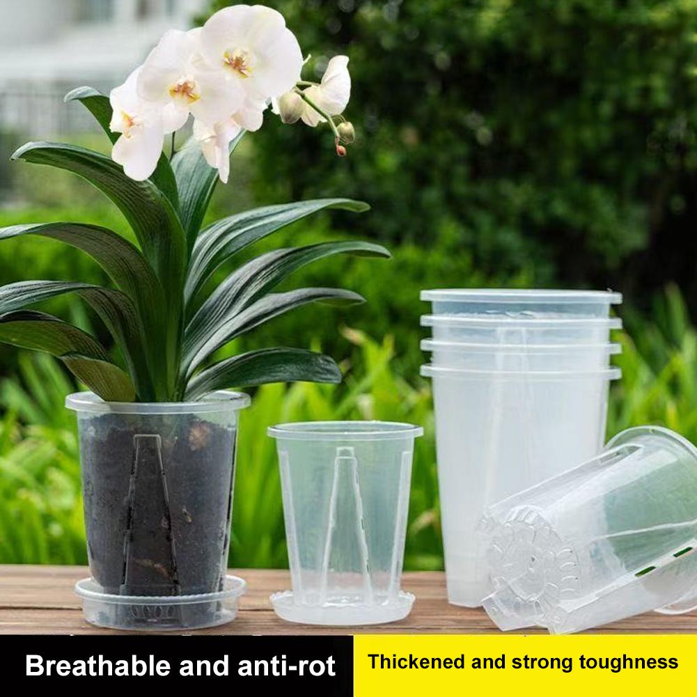 Pot de fleurs transparent en p - Aloe Vera Pot avis et prix