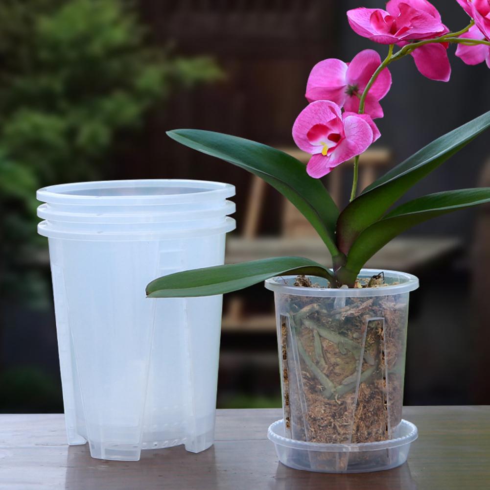 Pot de fleurs transparent en p - Aloe Vera Pot avis et prix