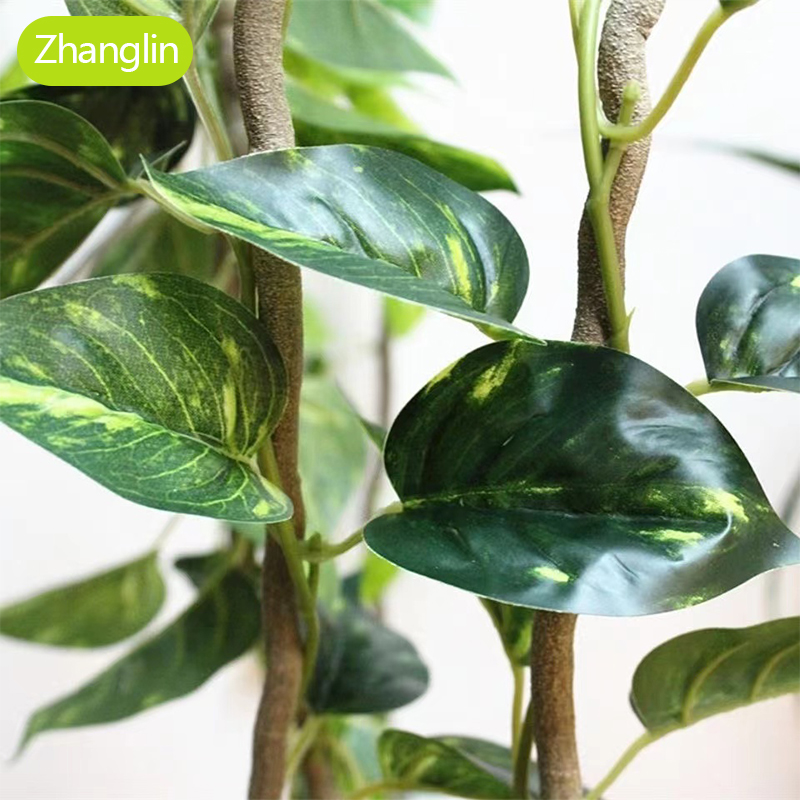 Plantes artificielles, vigne v - Monstera Adansonii avis et prix