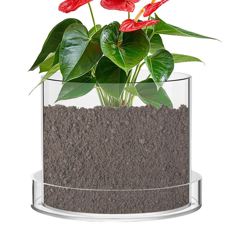 Pots de plantes transparents a - Aloe Vera Pot avis et prix