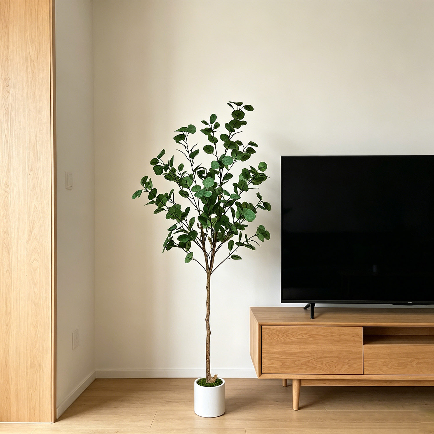 Arbre d'eucalyptus artificiel  - Dracaena Marginata avis et prix