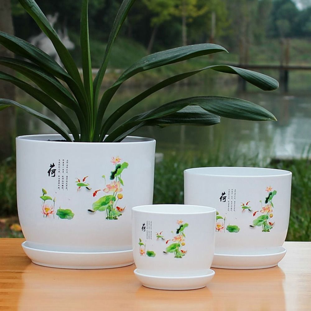 Pot de fleurs en plastique ext - Aloe Vera Pot avis et prix